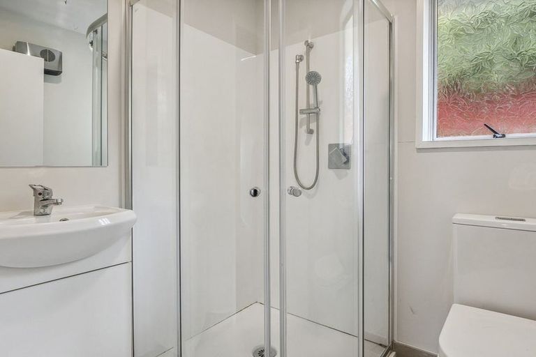 Photo of property in 17a Buccleugh Street, North East Valley, Dunedin, 9010