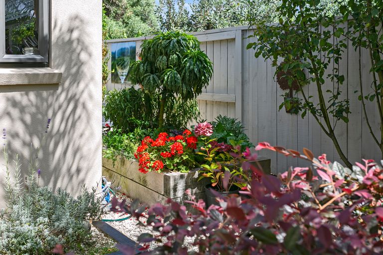 Photo of property in 19c Cooper Crescent, Cambridge, 3434