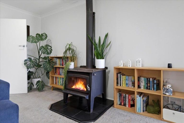 Photo of property in 67 Queen Street, Te Puke, 3119