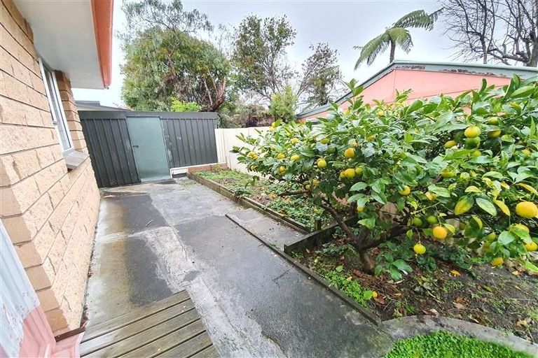 Photo of property in 34d Fitzroy Street, Terrace End, Palmerston North, 4410