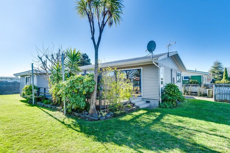 Photo of property in 49 Leicester Avenue, Tamatea, Napier, 4112