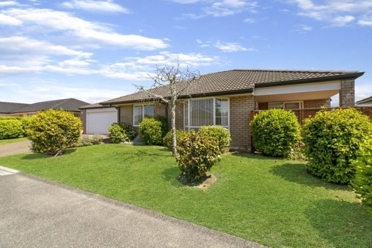 Photo of property in 17 Cresta Drive, Katikati, 3129