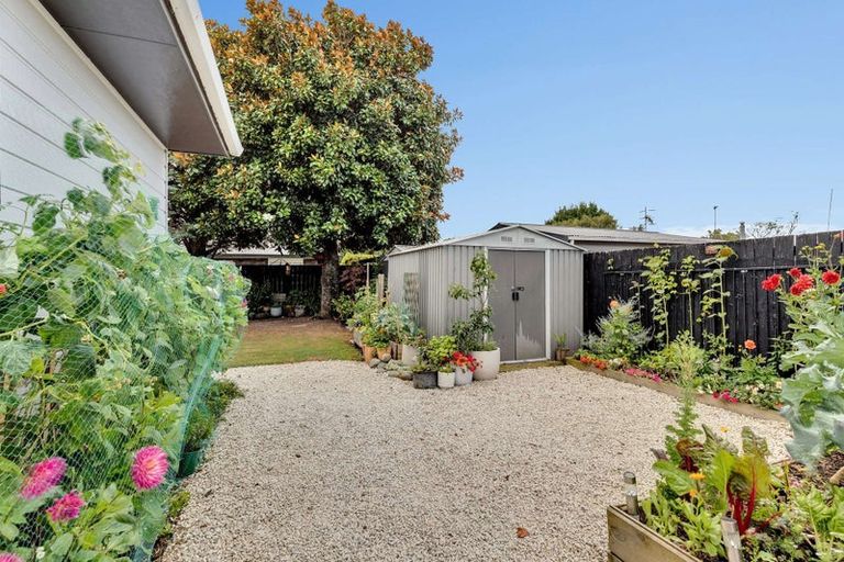 Photo of property in 6 Mercury Street, Milson, Palmerston North, 4414