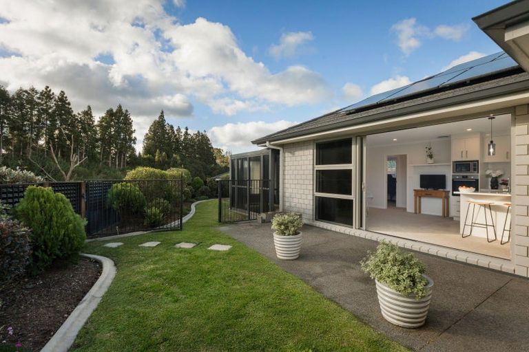 Photo of property in 15 Layla Place, Katikati, 3178