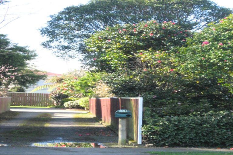 Photo of property in 33a Macarthur Street, Levin, 5510