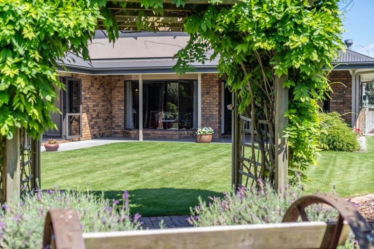 Photo of property in 8 Cooper Crescent, Cambridge, 3434