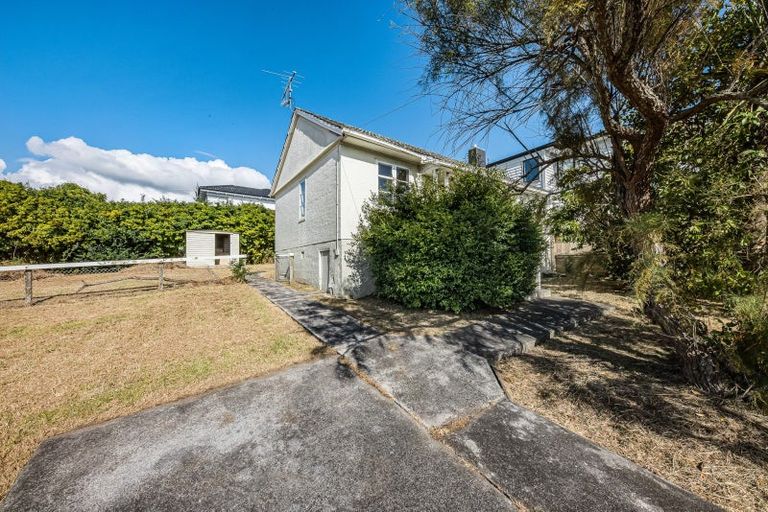 Photo of property in 80 Walmer Road, Point Chevalier, Auckland, 1022