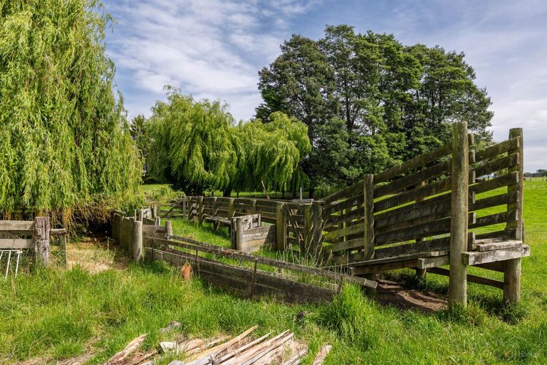 Photo of property in 124 Maytown Road, Waimate, 7978