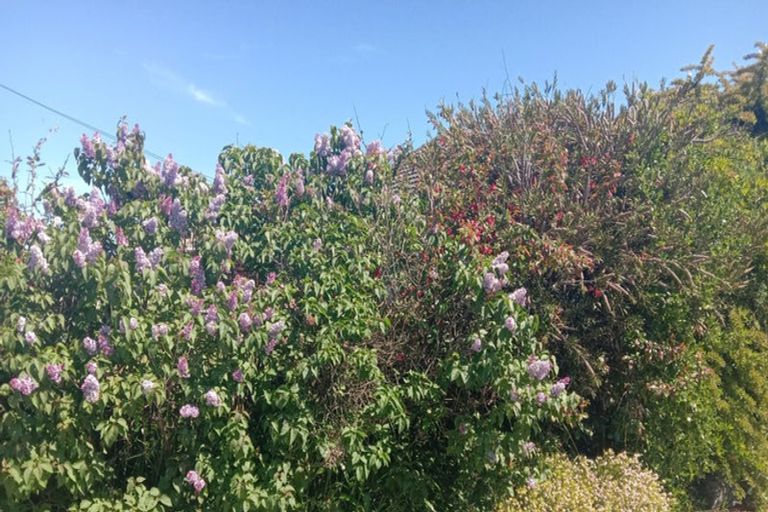 Photo of property in 62 Fleming Street, North New Brighton, Christchurch, 8083