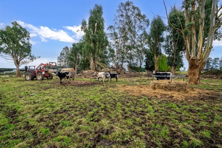 Photo of property in 109 Longbush Road, Longbush, Invercargill, 9871