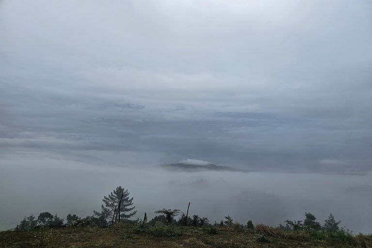 Photo of property in 156 Whangaroa Road, Kaeo, 0478