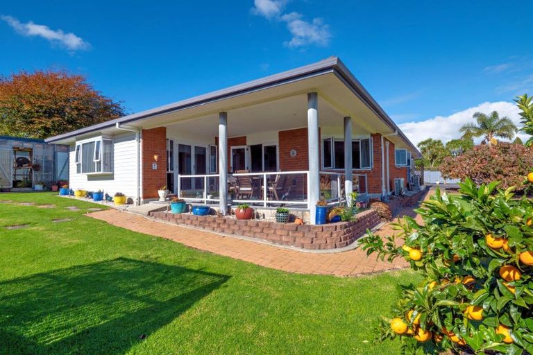 Photo of property in 155c Gow Road, Tirohanga, Opotiki, 3197