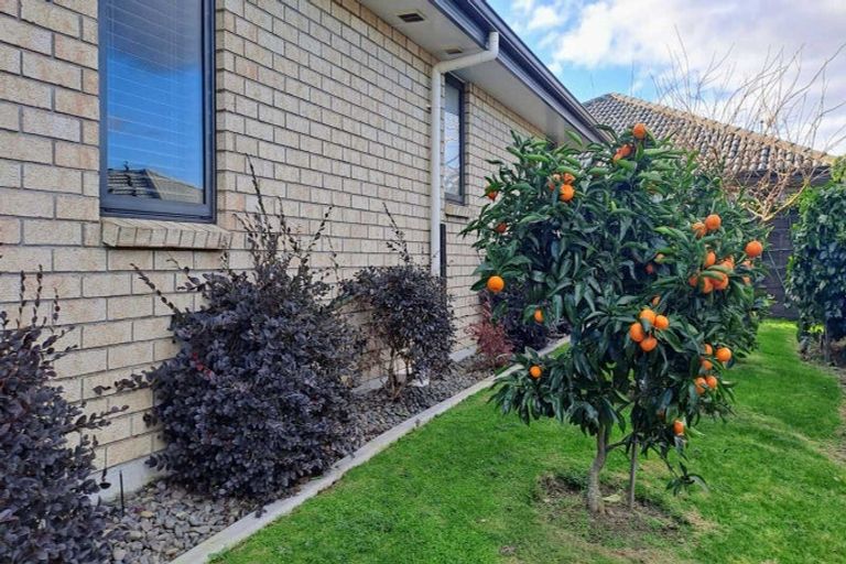 Photo of property in 20/46 Sharp Road, Aongatete, Katikati, 3178