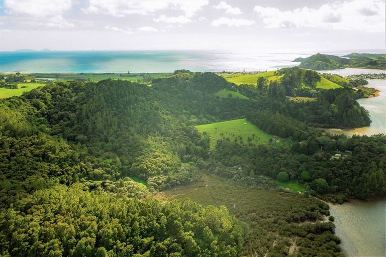 Photo of property in 1860 Pataua North Road, Pataua North, Parua Bay, 0175