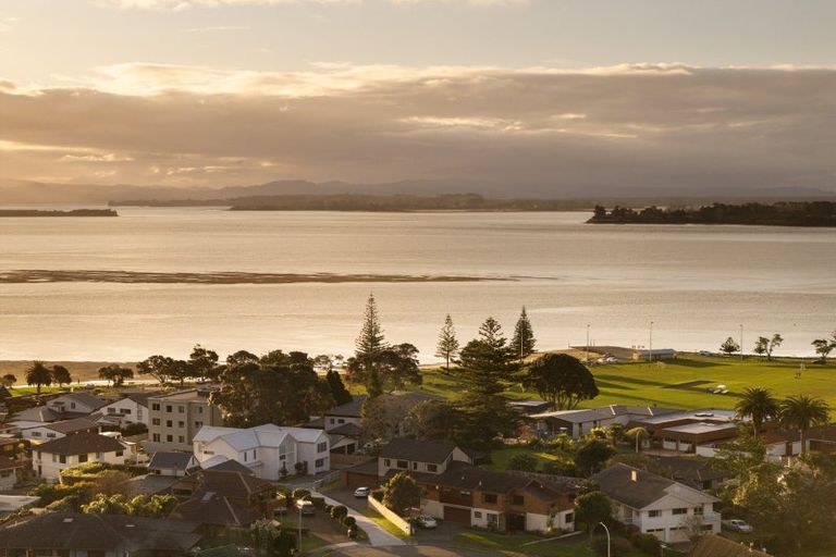 Photo of property in 20 Clivedene Street, Matua, Tauranga, 3110