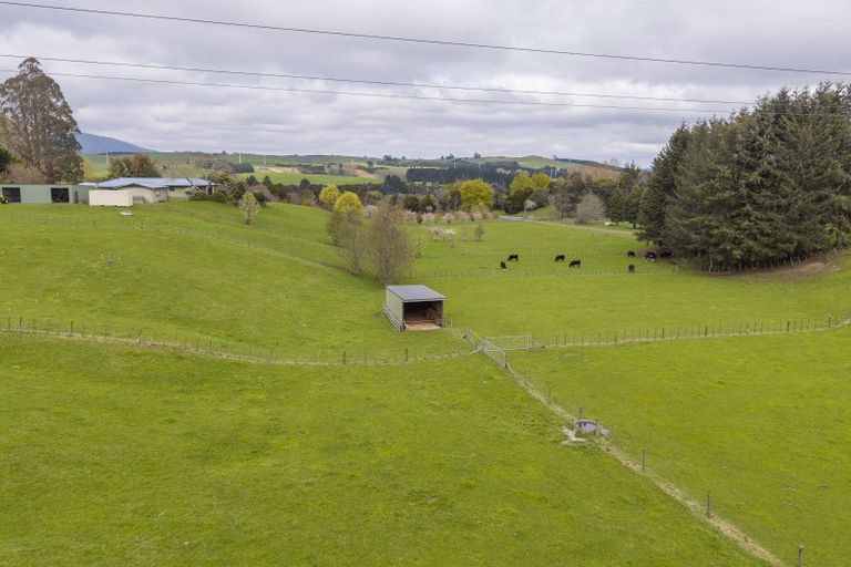 Photo of property in 698 Aratiatia Road, Wairakei, Taupo, 3378