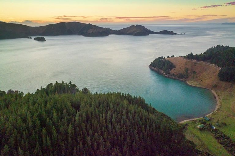 Photo of property in 1892 Port Underwood Road, Port Underwood, Picton, 7281