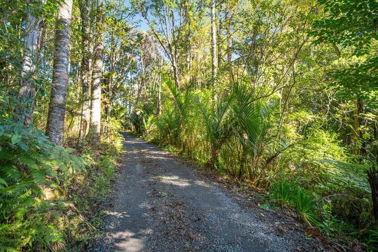 Photo of property in 341 Kanohi Road, Kaukapakapa, 0873