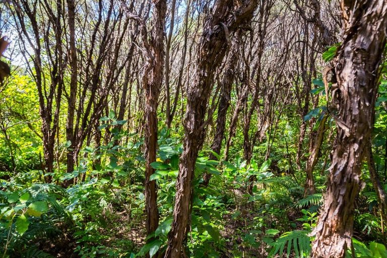 Photo of property in 294 Waiohine Gorge Road, Dalefield, Carterton, 5791