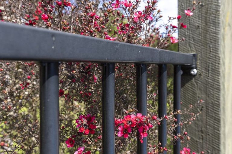 Photo of property in 149 Hakanoa Street, Huntly, 3700