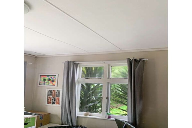 Photo of property in 24 Mckenzie Street, Levin, 5510