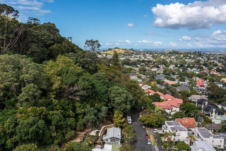Photo of property in 20 Rautangi Road, Mount Eden, Auckland, 1024