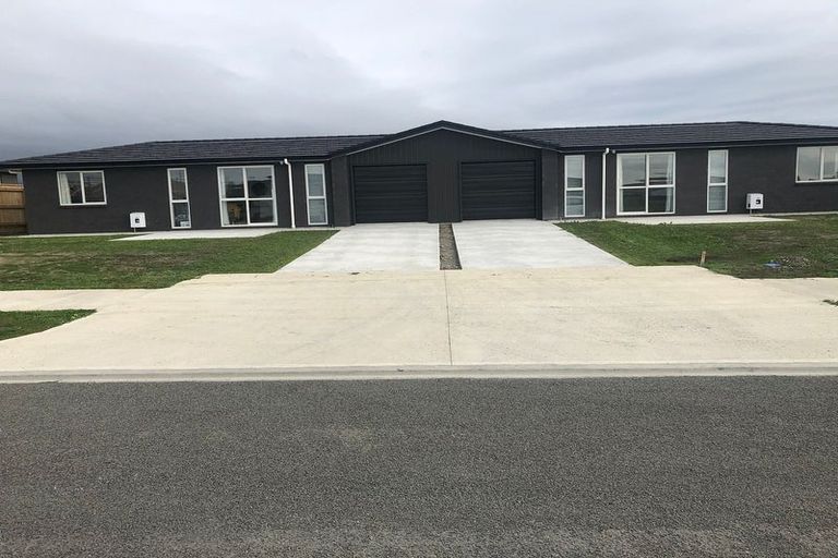 Photo of property in 87 Hinemoa Street, Levin, 5510