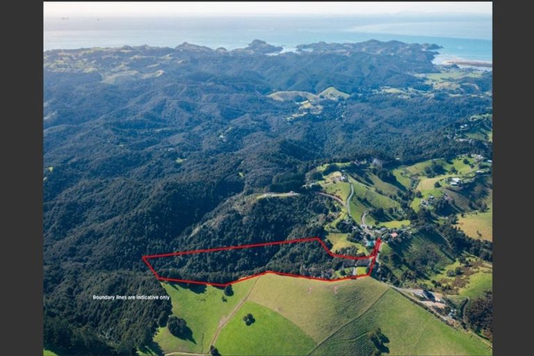 Photo of property in 98 Kiwi Bush Lane, Ngunguru, Whangarei, 0173