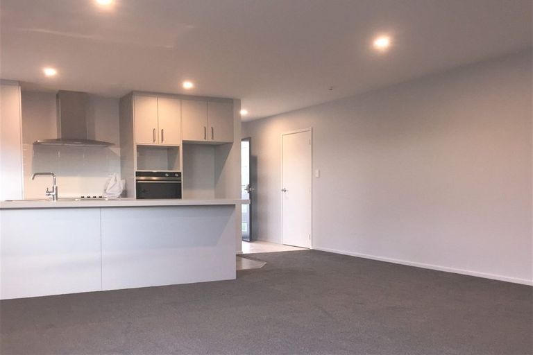 Photo of property in 21 Zabeel Street, Lincoln, 7608