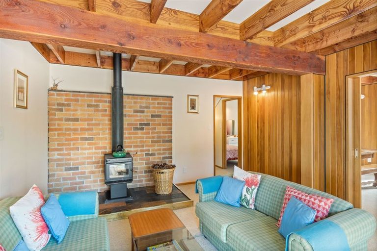 Photo of property in 10 Torlesse Place, Castle Hill, Springfield, 7580