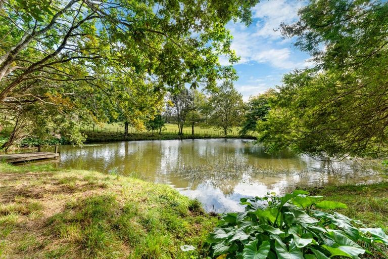 Photo of property in 894 Horseshoe Bush Road, Waitoki, Kaukapakapa, 0871