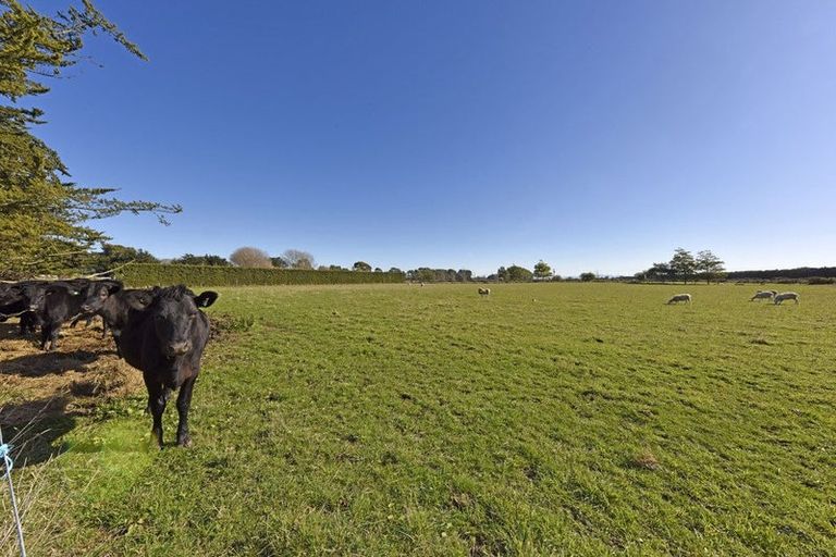 Photo of property in 85 Curries Road, Springston, Christchurch, 7674