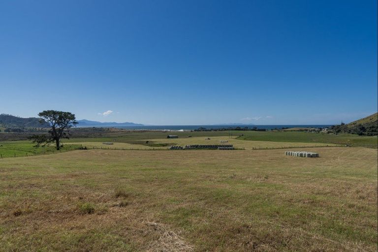 Photo of property in 550 Black Jack Road, Opito Bay, Whitianga, 3592