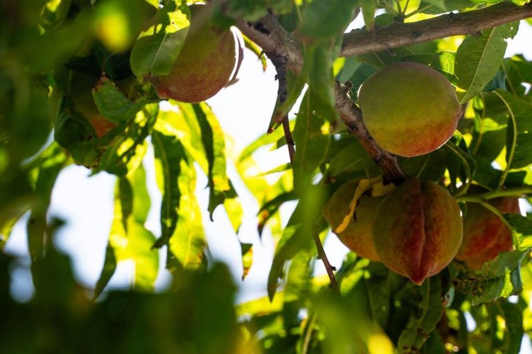 Photo of property in 20 Green Street, Newtown, Wellington, 6021