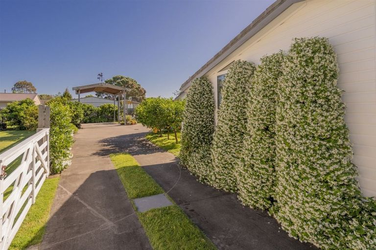 Photo of property in 65 Robinson Road, Whitianga, 3510