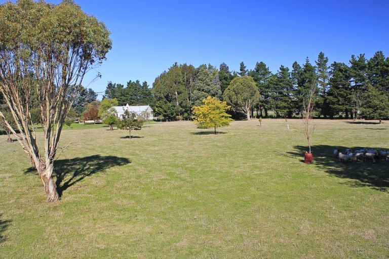 Photo of property in 66 Lincoln Street, Ashhurst, 4810