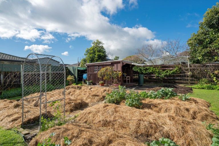 Photo of property in 289 Chadwick Road, Gate Pa, Tauranga, 3112