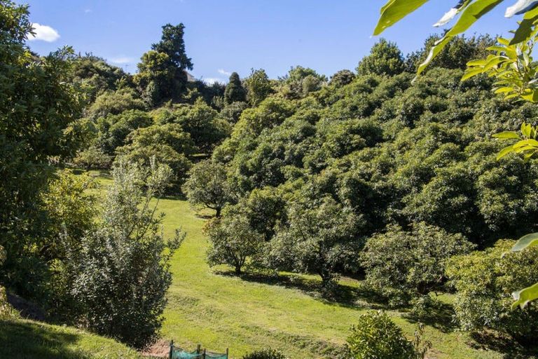 Photo of property in 252e Kauri Point Road, Tahawai, Katikati, 3170
