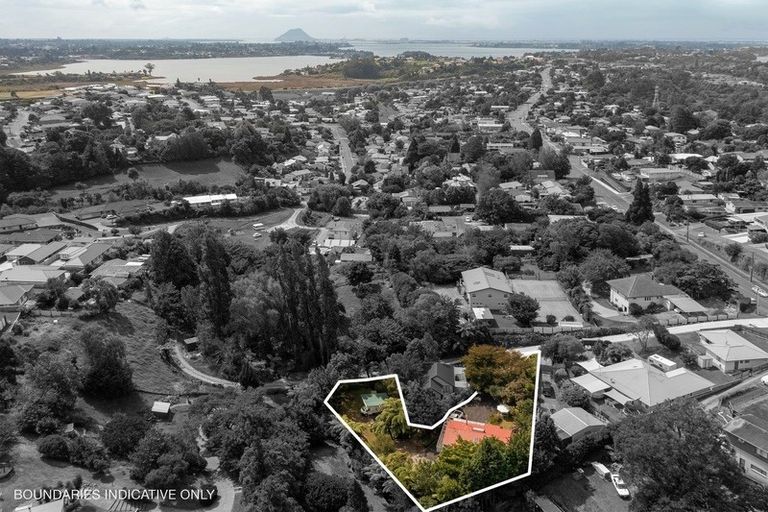 Photo of property in 313 Ohauiti Road, Ohauiti, Tauranga, 3112