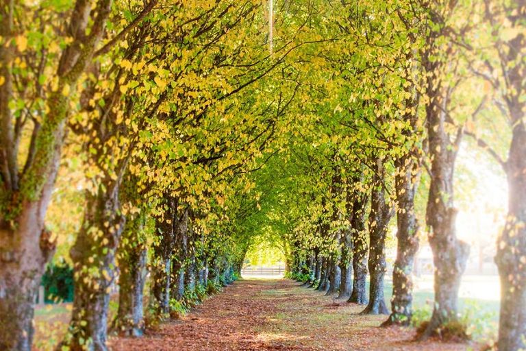 Photo of property in 58 West Street, Greytown, 5712