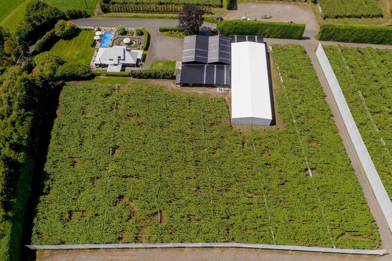 Photo of property in 36 Reeves Road, Te Ranga, Te Puke, 3188