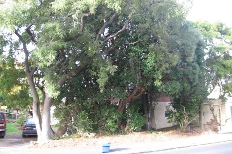 Photo of property in 8 Signal Hill Road, Opoho, Dunedin, 9010