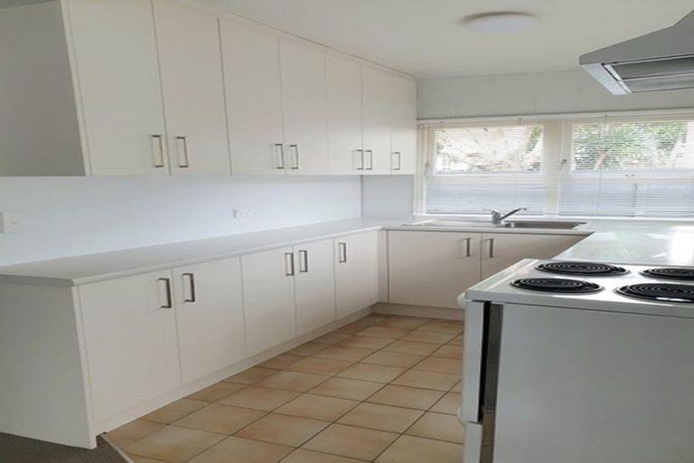 Photo of property in 17 Alfred Street, Northcote Point, Auckland, 0627