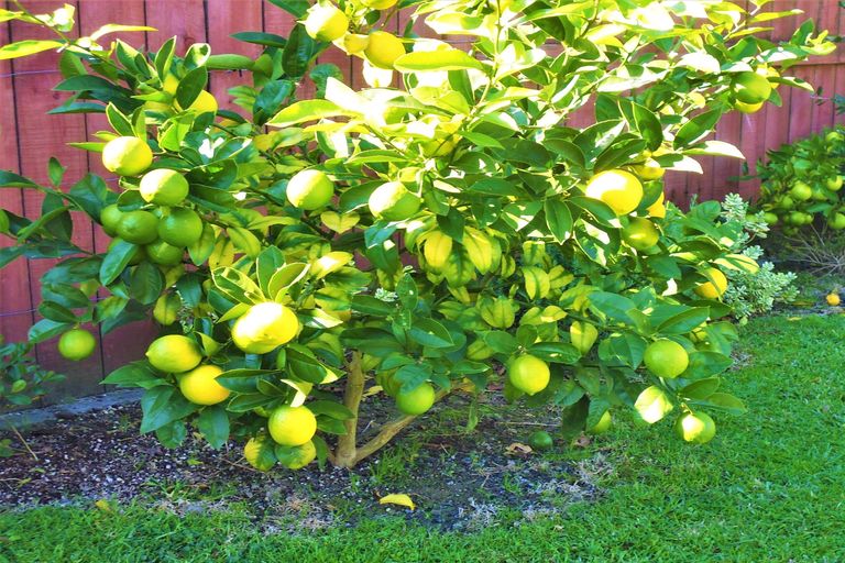 Photo of property in 19 Edgewater Grove, Whakatane, 3120