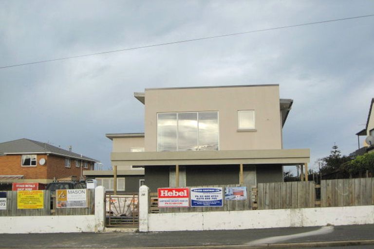 Photo of property in 55 Bedford Street, Saint Clair, Dunedin, 9012