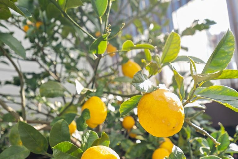 Photo of property in 9 Rahiri Street, Waitara, 4320