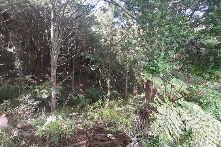 Photo of property in 171 Arcadia Road, Paparoa, 0571