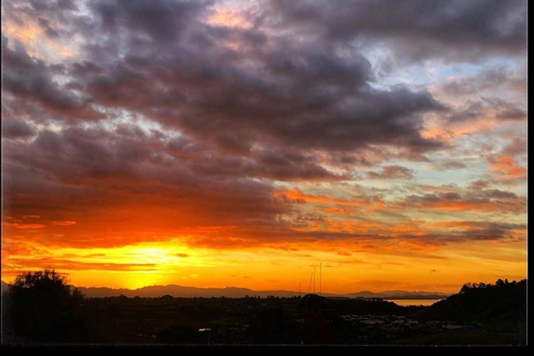 Photo of property in 7 Lebanon Street, Judea, Tauranga, 3110