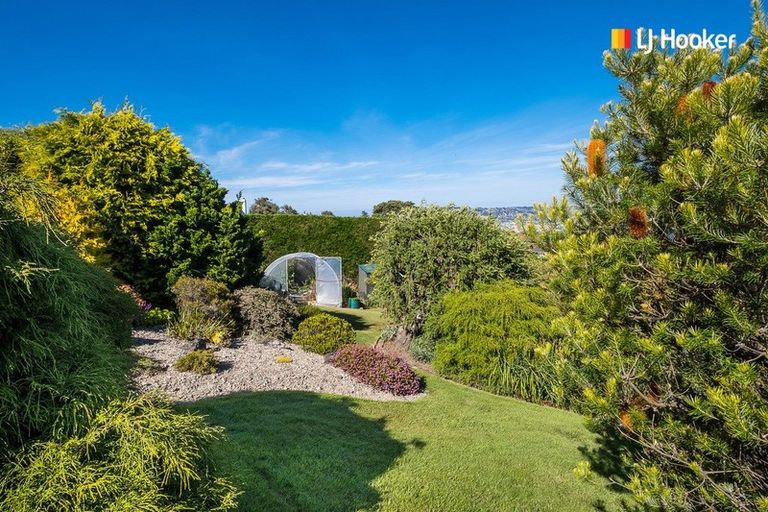 Photo of property in 115 Belford Street, Waverley, Dunedin, 9013