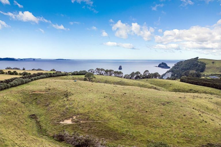 Photo of property in 396 Lees Road, Hahei, Whitianga, 3591